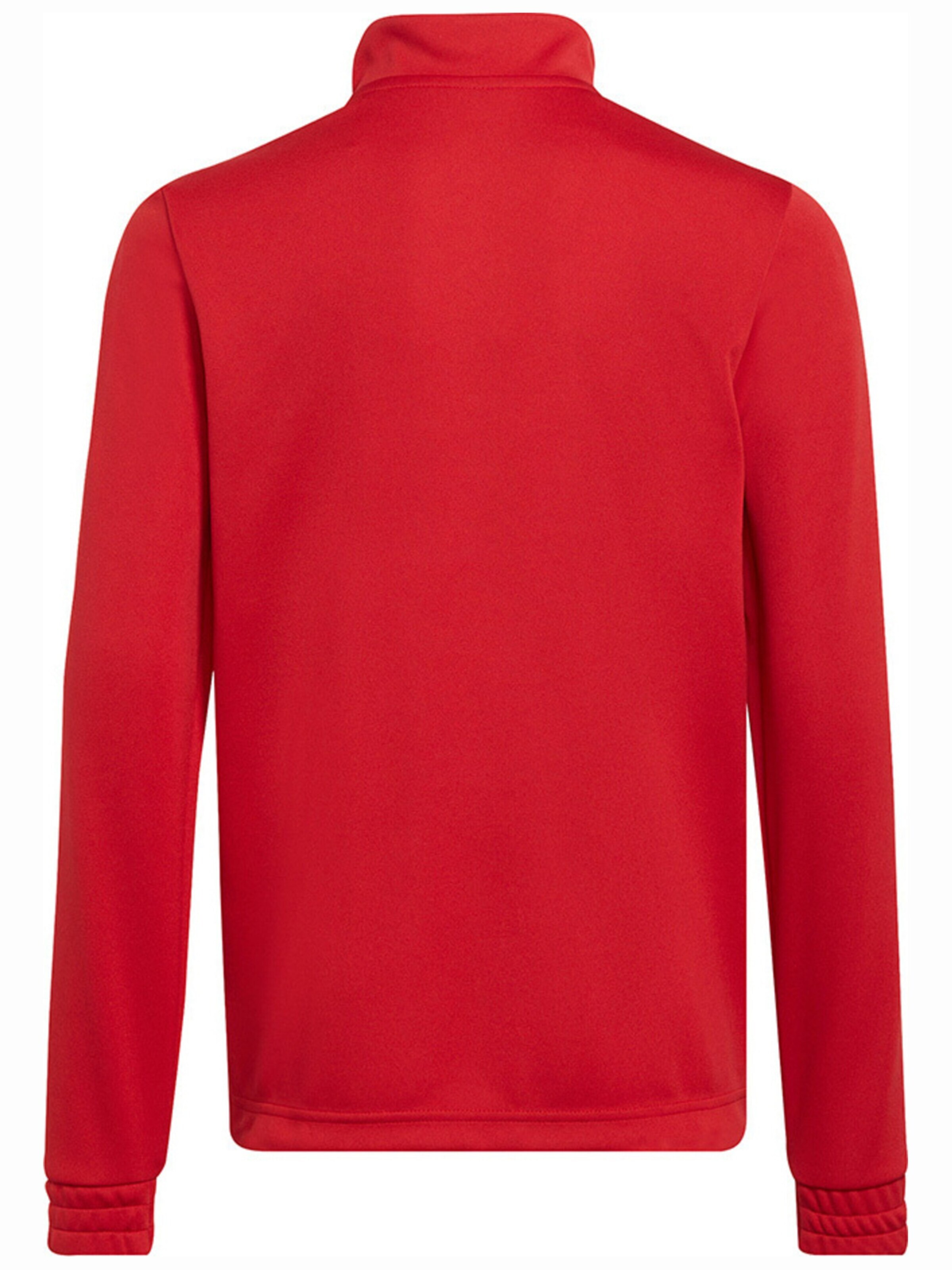 ADIDAS - Blusa 'adidas Jr Ent22 Training Top - 13' en rojo