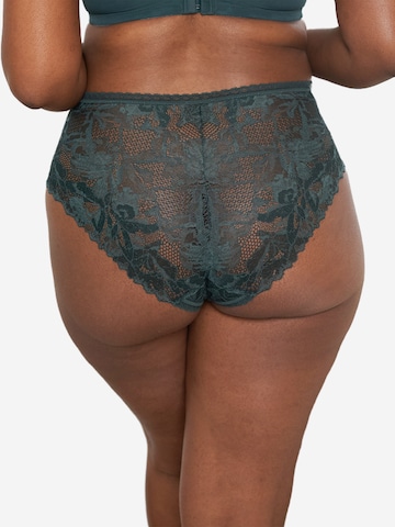 SugarShape Boyshorts 'Vienna' in Green