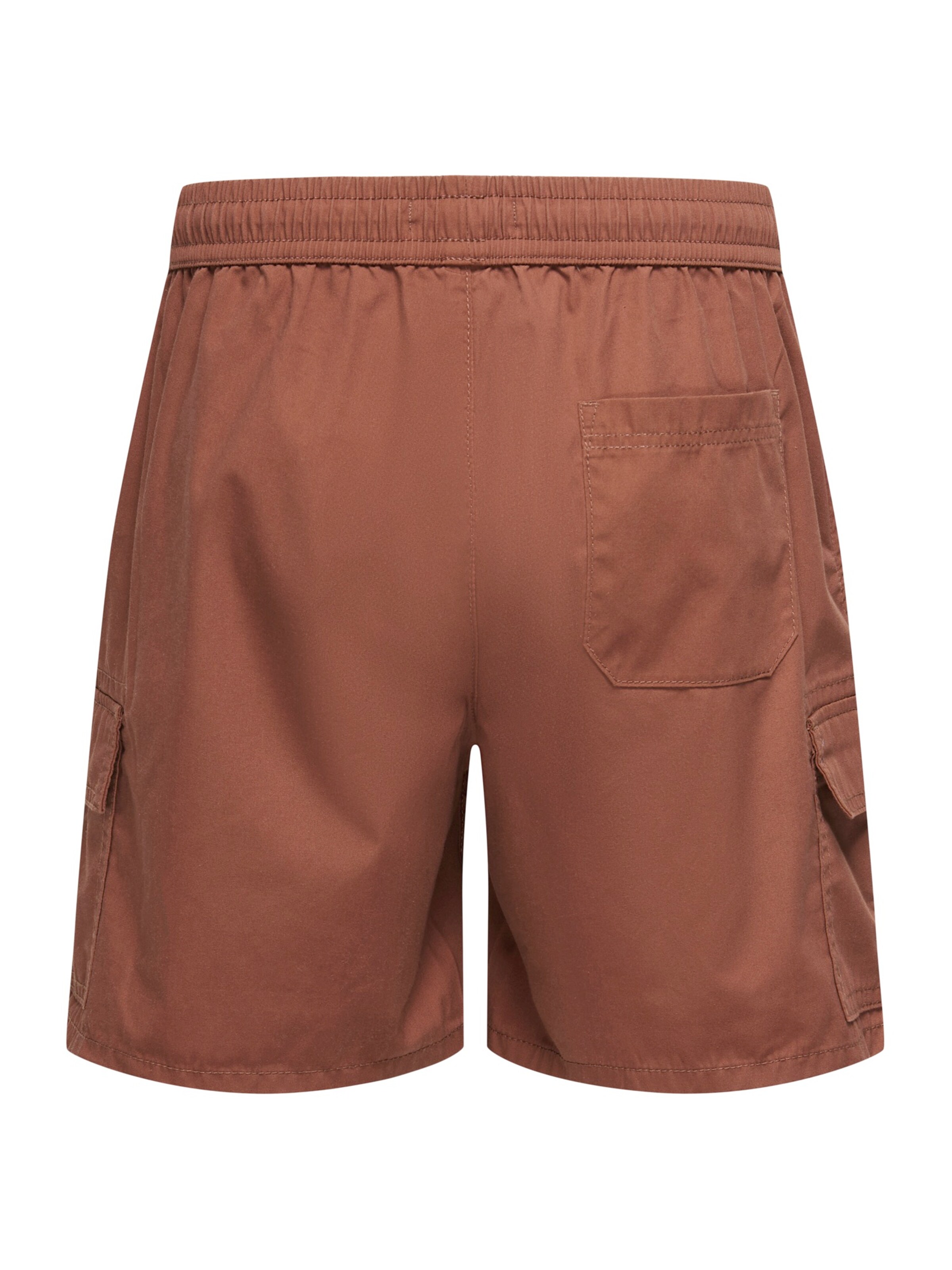 Only & Sons - Regular Calças cargo 'ONSKAL' em castanho