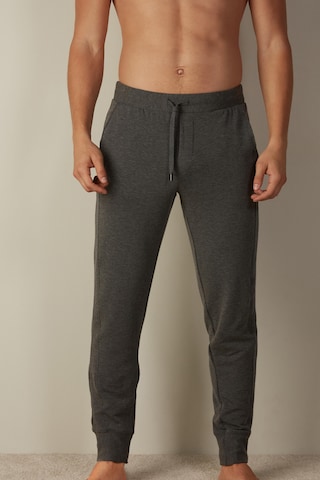 INTIMISSIMI Tapered Pants in Grey: front