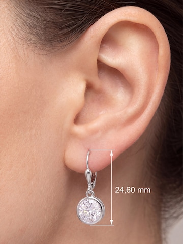 Jobo Earrings in Silver