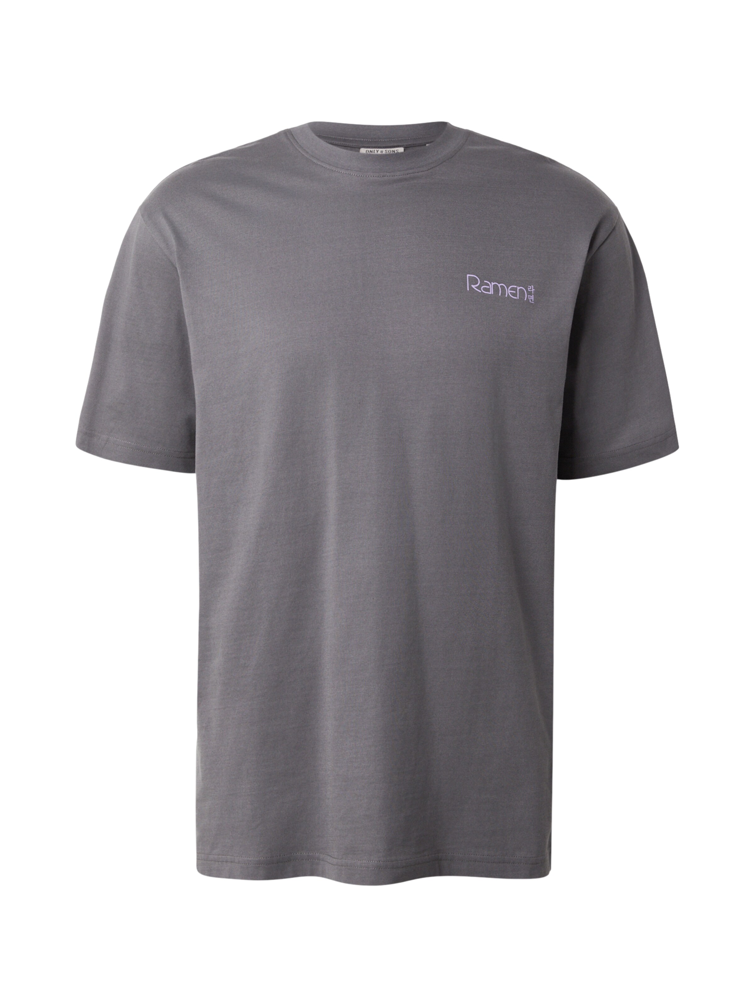 Only & Sons T-Shirt 'ONSFRED' in Grau: Vorderseite
