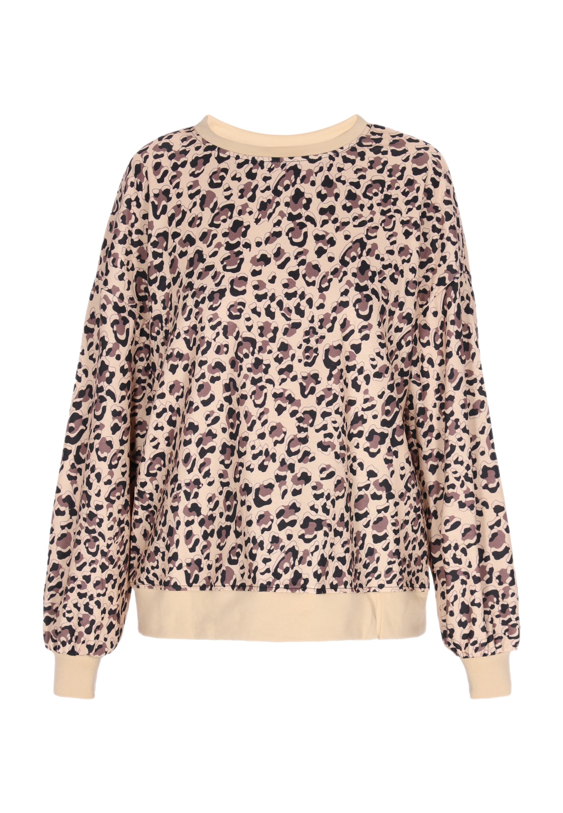 Sweat-shirt NAEMI en marron : devant