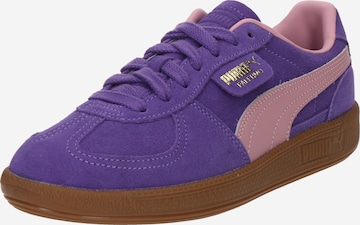 PUMA Кроссовки 'Palermo' в Лиловый: спереди