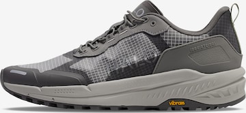 Baskets basses HALO en gris : devant