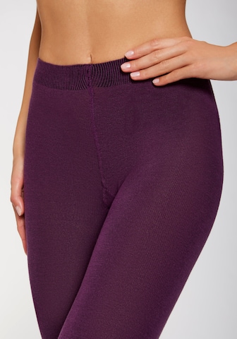 LAVANA Tights in Purple