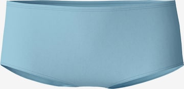 CALIDA Panty 'Essential Cotton' in Blau: Vorderseite