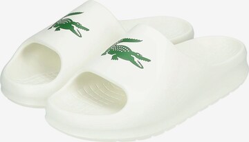 Claquettes / Tongs LACOSTE en blanc