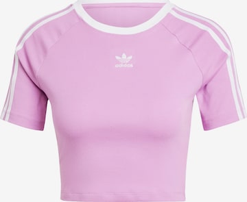 T-shirt ADIDAS ORIGINALS en violet : devant