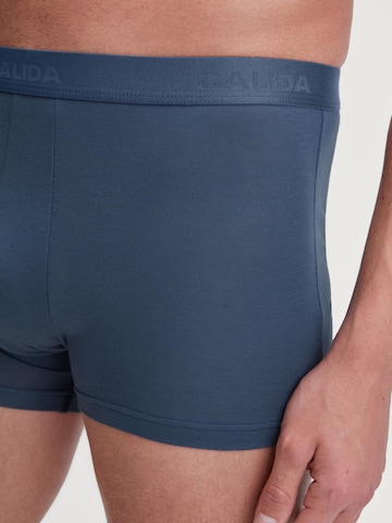 CALIDA Boxer shorts 'Evolution' in Blue