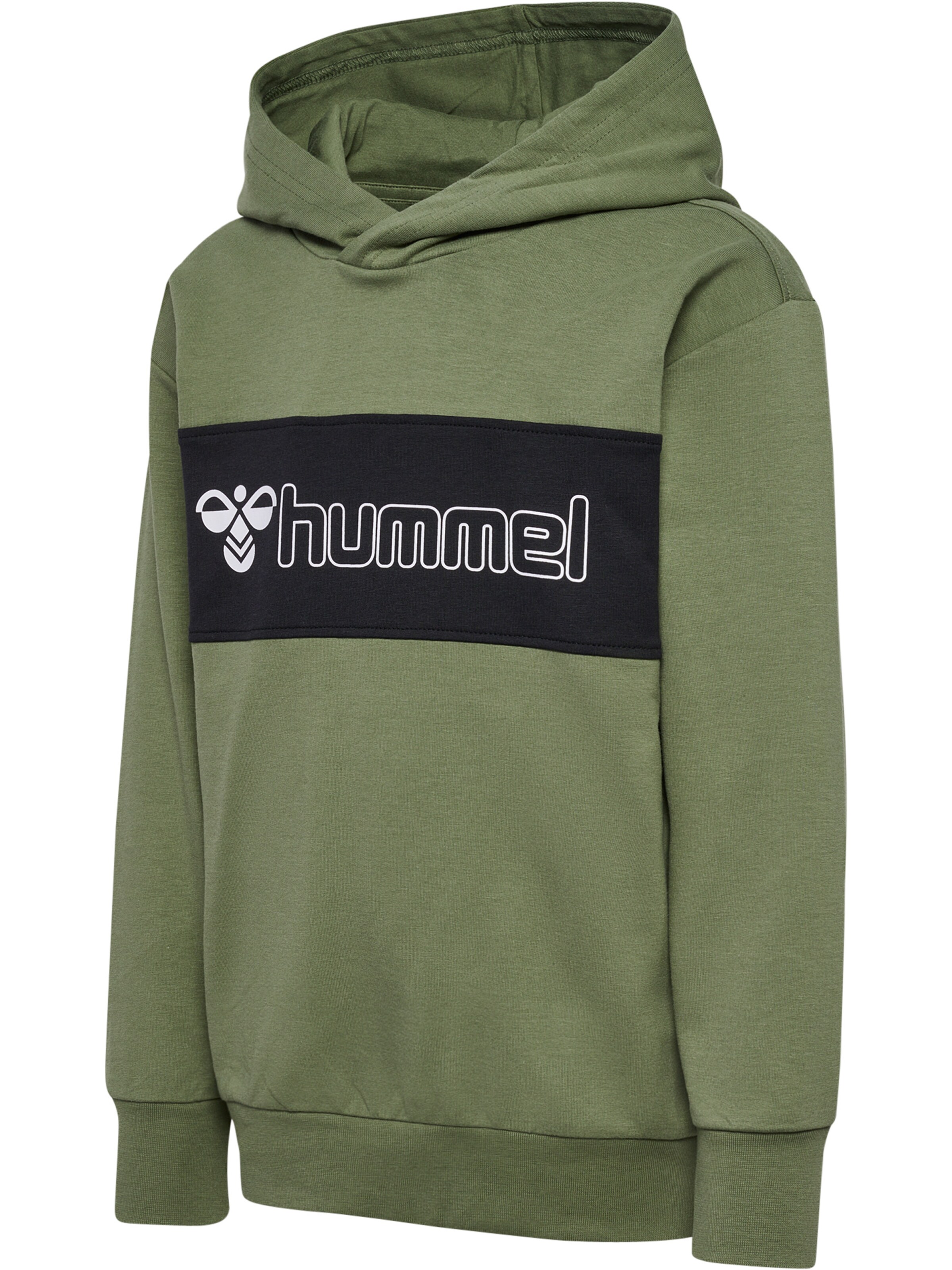 Hummel Sweatshirt 'Atlas' i grøn