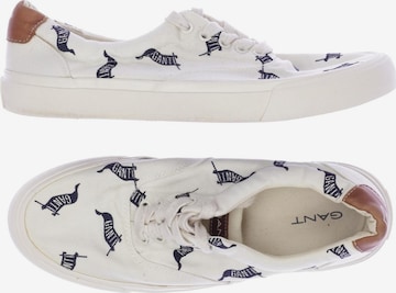 GANT Sneaker 42 in Weiß: Vorderseite