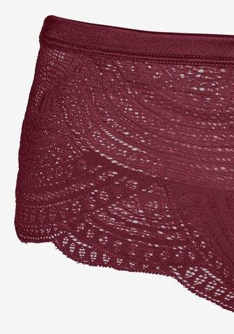 LASCANA Boyshorts in Purple