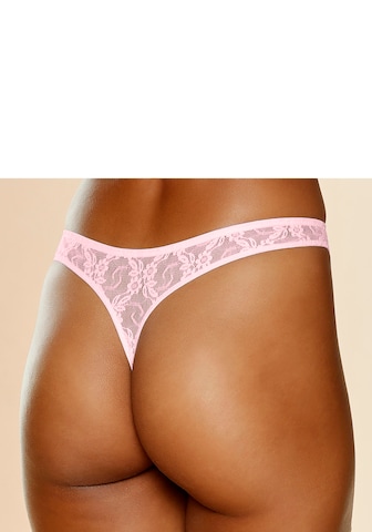 PETITE FLEUR Tanga – mix barev