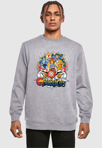 ABSOLUTE CULT Sweatshirt 'Thundercats' in Grau: Vorderseite