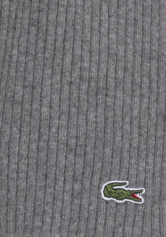 Écharpe LACOSTE en gris