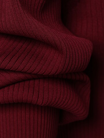 Ipuri Sweater in Red