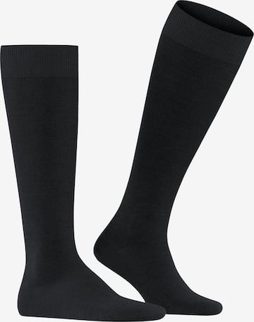 FALKE Knee High Socks 'Energizing Wool' in Black: front