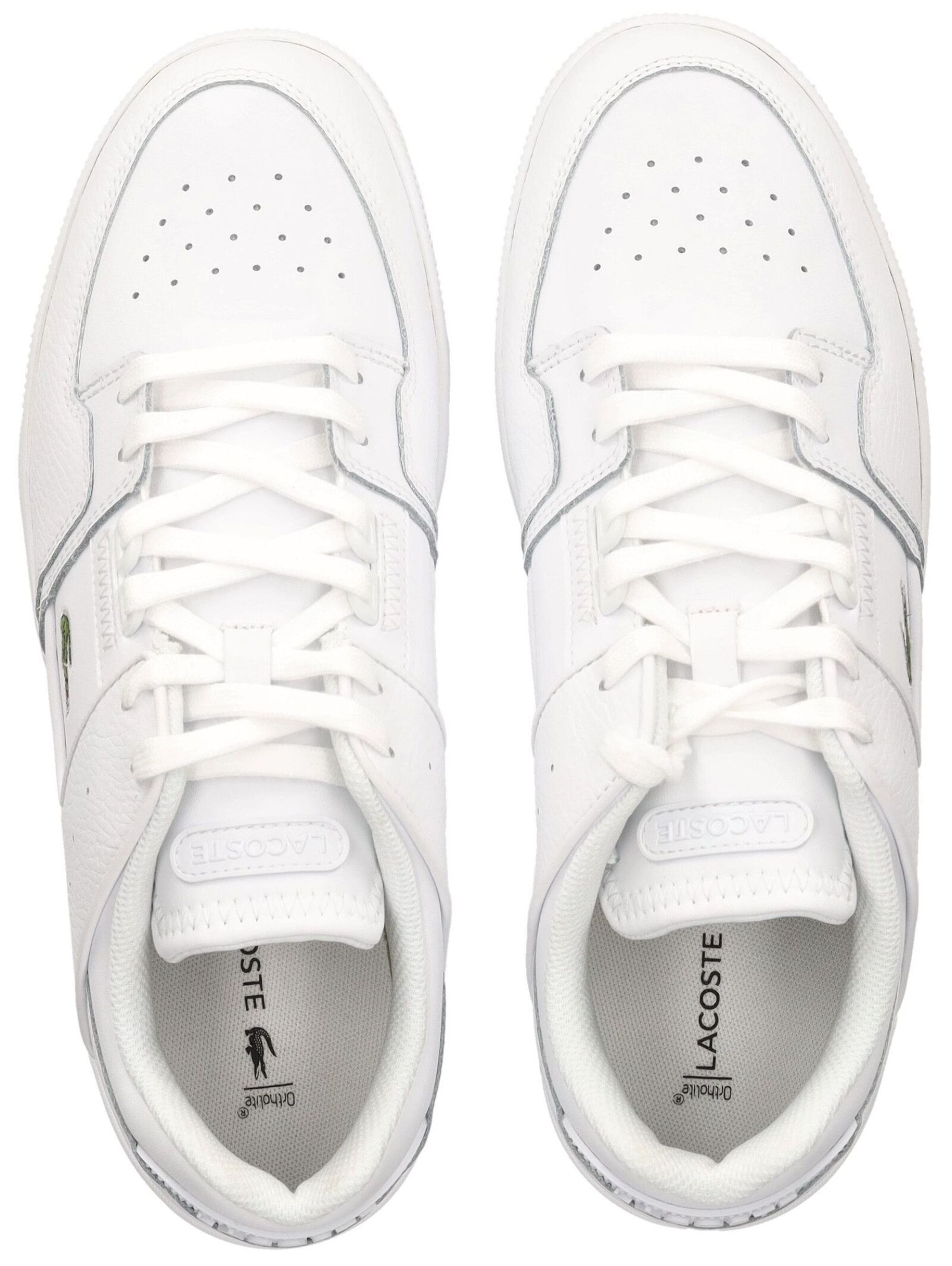 LACOSTE Nizke superge 'Court Cage' | bela barva