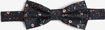 Prince BOWTIE Vlinderdasje in Blauw: voorkant