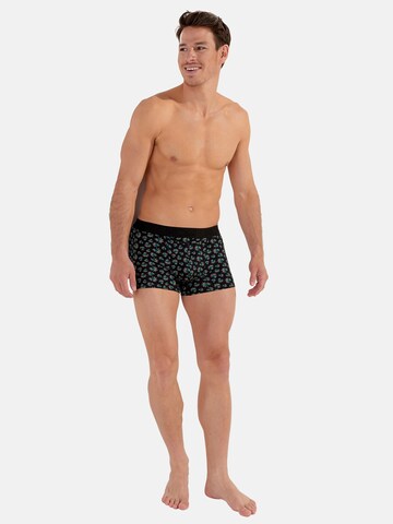 HOM Boxershorts 'Dizzy HO1' in Groen