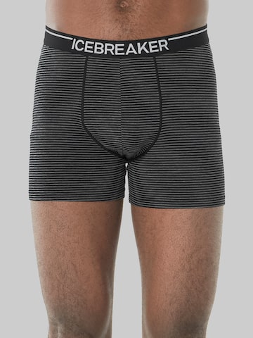 Pantaloncini intimi sportivi 'Anatomica' di ICEBREAKER in grigio: frontale