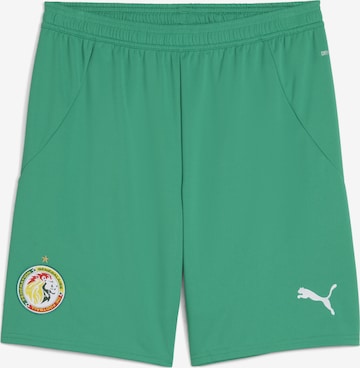 PUMA Regular Sportbroek 'Senegal 2025' in Groen: voorkant