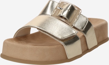 Zoccoletto di Paul Green in oro: frontale