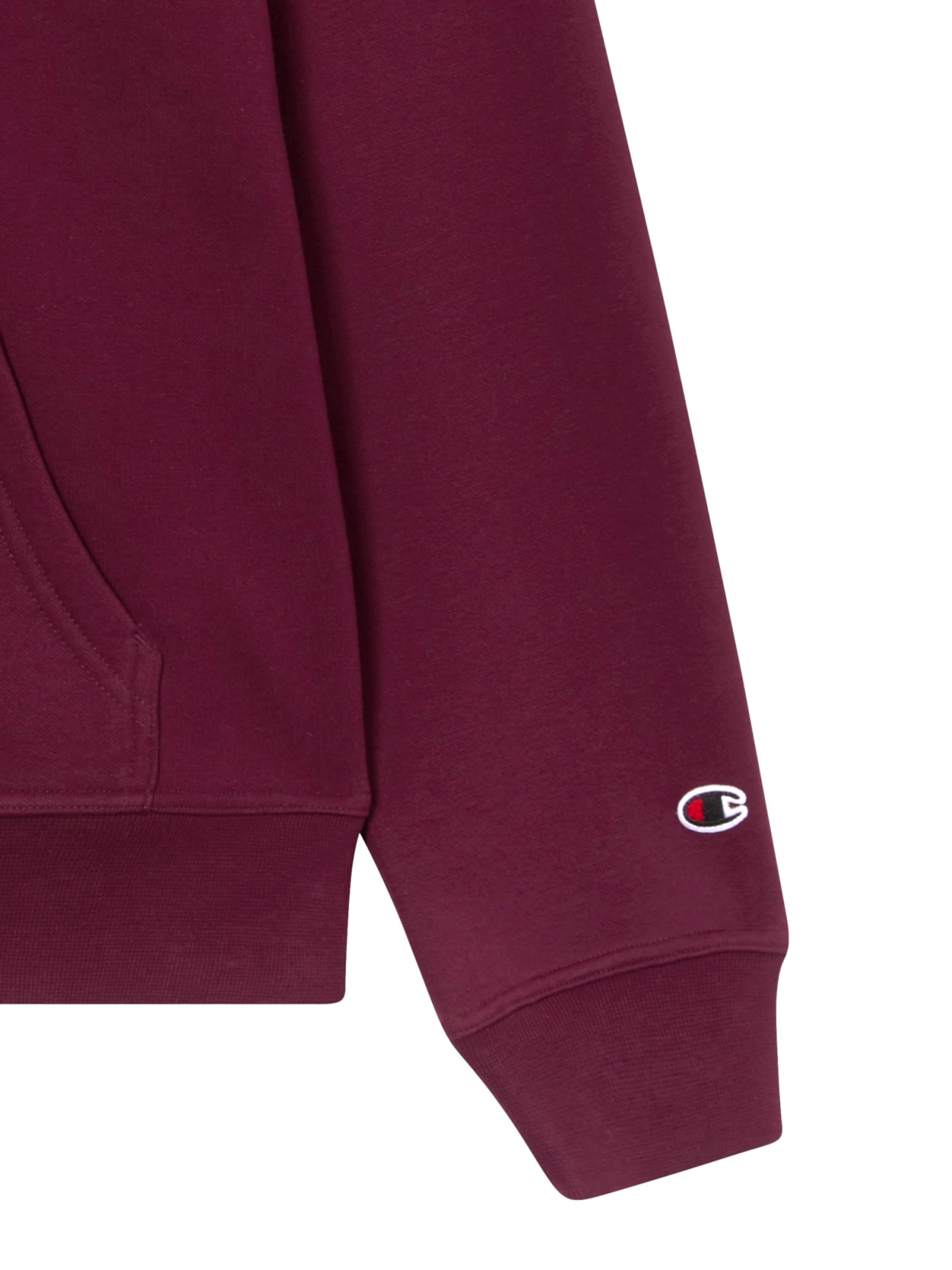 Champion Authentic Athletic Apparel Sweater in Red