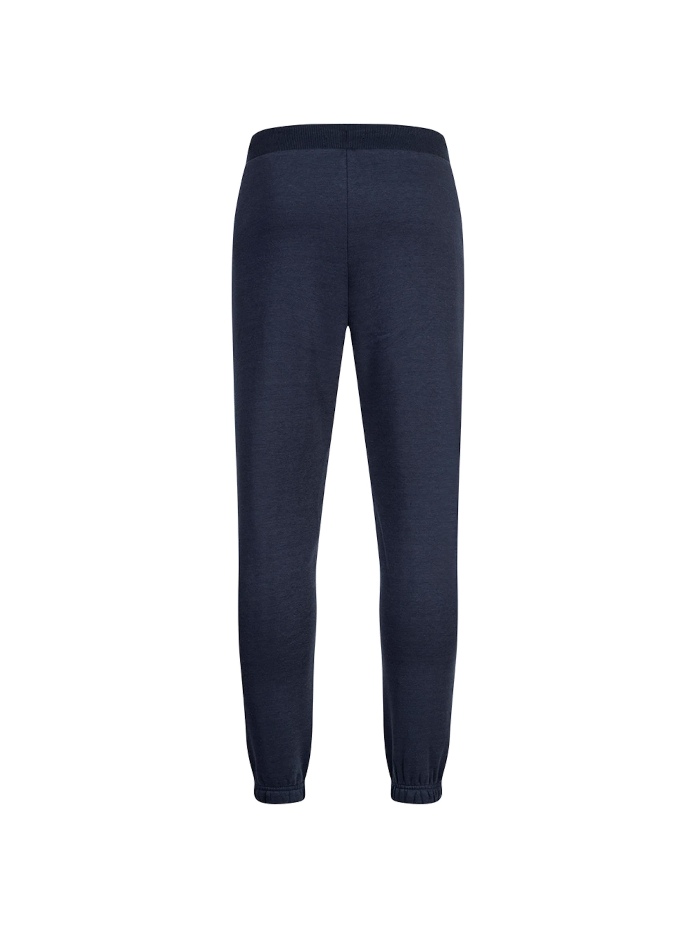 Regular Pantalon de sport PIERRE CARDIN en bleu