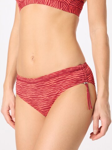 LingaDore Bikini Bottoms in Orange: front