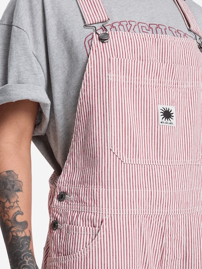QUIKSILVER Salopette 'Angua Stripes' en beige / rouge clair, Vue avec produit