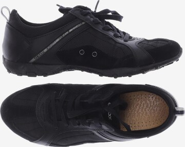 GEOX Sneakers & Trainers in 38 in Black: front
