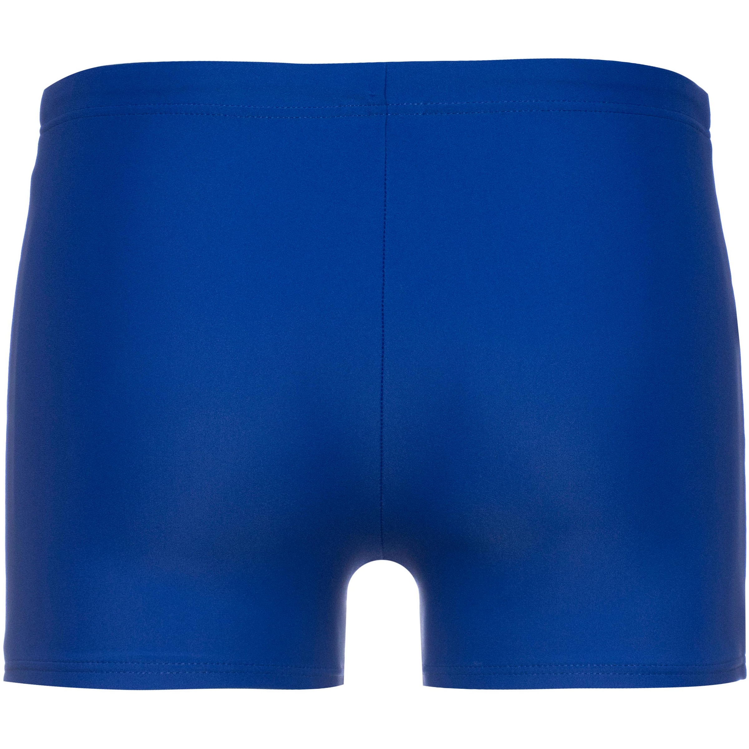 ARENA - Calções de surf 'DYNAMO' em azul