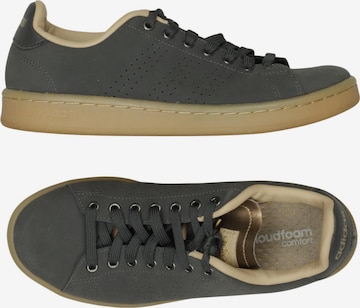 ADIDAS PERFORMANCE Sneaker 39 in Grau: Vorderseite