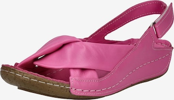 Sandalo di ANDREA CONTI in rosa: frontale