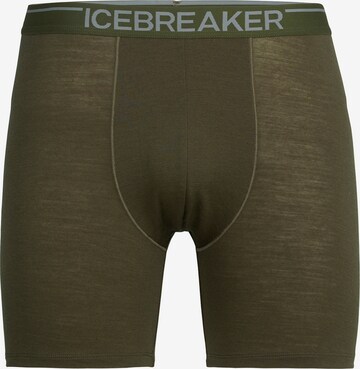 Pantaloncini intimi sportivi 'M Anatomica' di ICEBREAKER in verde: frontale