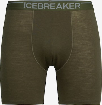 Pantaloncini intimi sportivi 'M Anatomica' di ICEBREAKER in verde: frontale