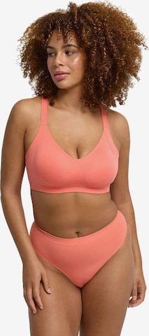Soutien-gorge 'Seamless Compact Push-Up BH' cfab (formerly creamy fabrics) en orange : devant