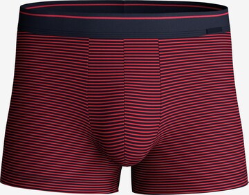 CALIDA Boxer shorts 'Cotton Stretch' in Purple: front