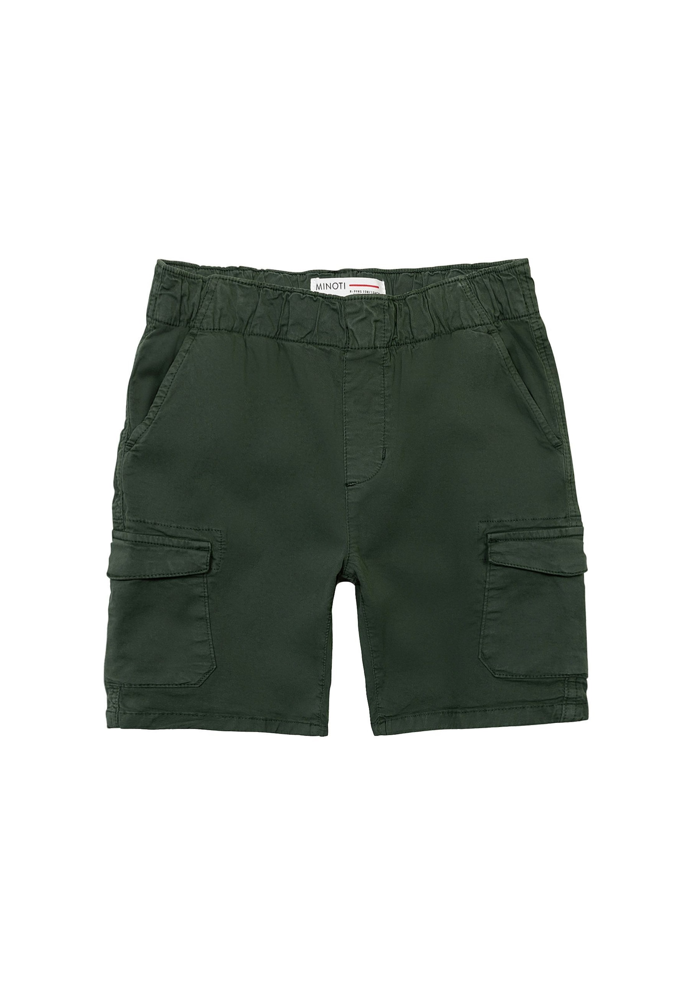 regular Pantaloni di MINOTI in verde: frontale