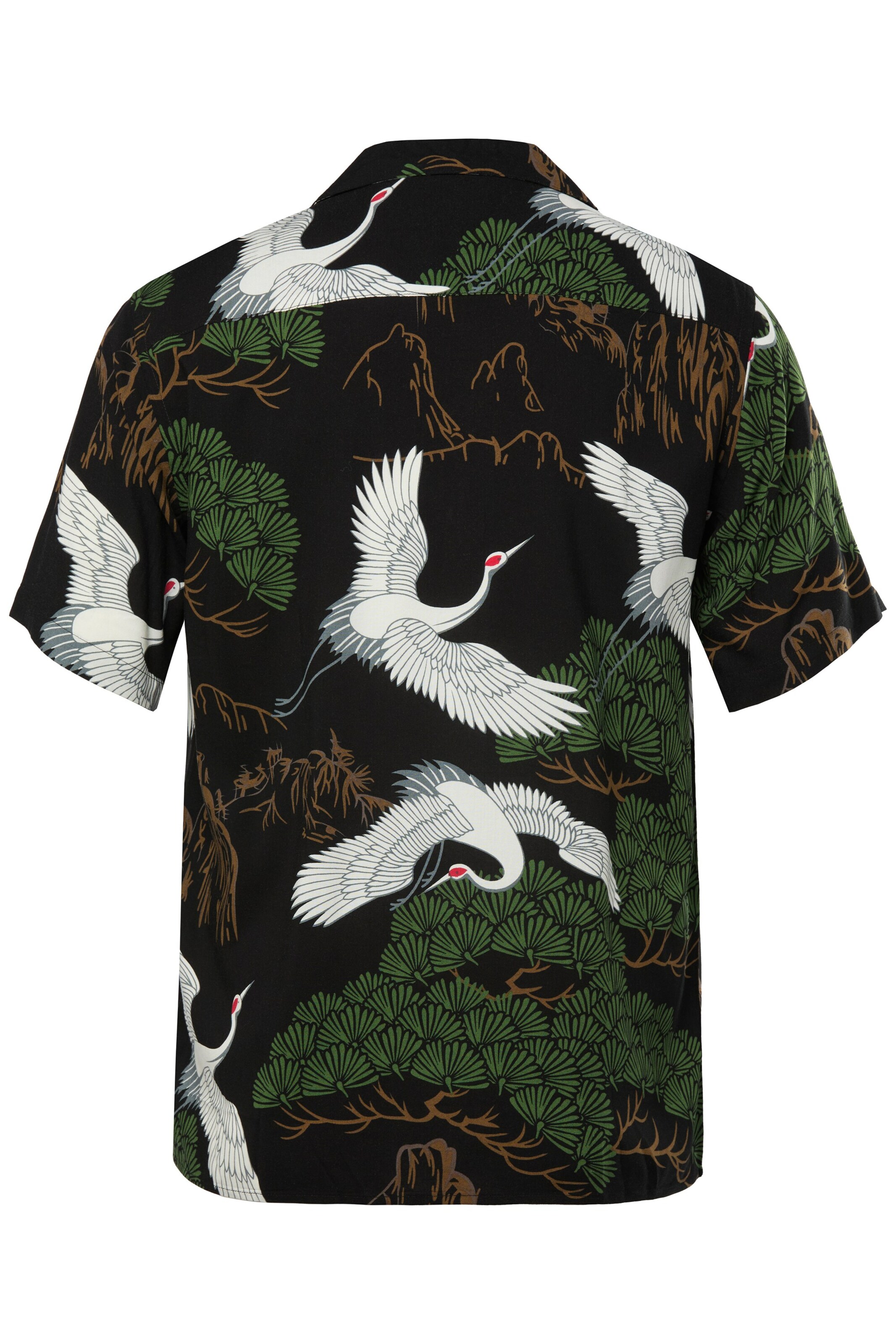 JP1880 Regular fit Button Up Shirt in Black