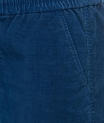 Ragwear Slimfit Broek in Blauw