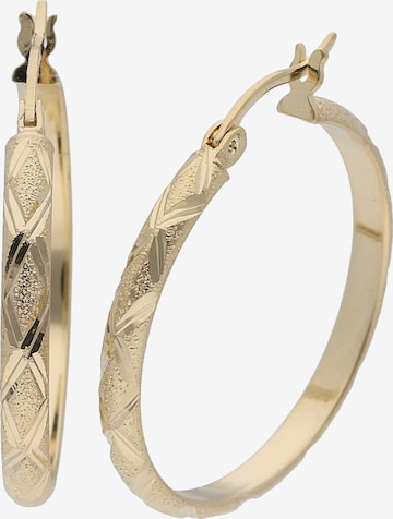 Smart Jewel Earrings in Gold: front