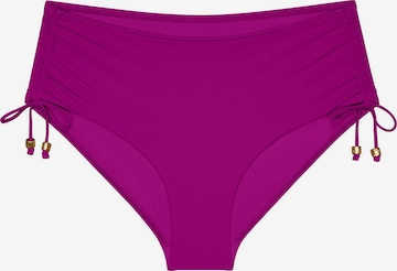 TRIUMPH Bikini bottom ' Red Label Summer Twist ' in Purple: front