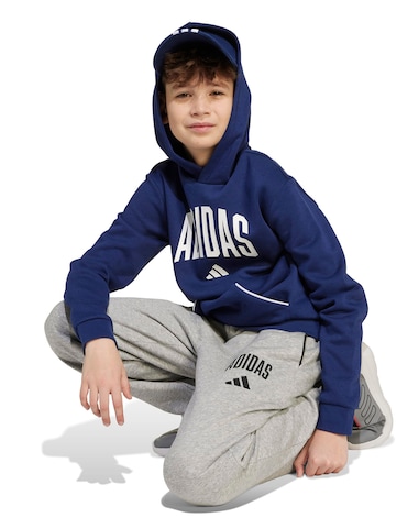 ADIDAS SPORTSWEAR Обычный Спортивные штаны 'Essentials Collegiate' в Серый