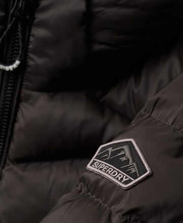 Superdry Winter Jacket 'Fuji' in Brown