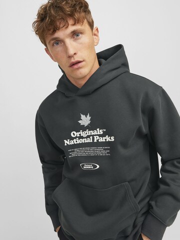 JACK & JONES Sweatshirt in Grün