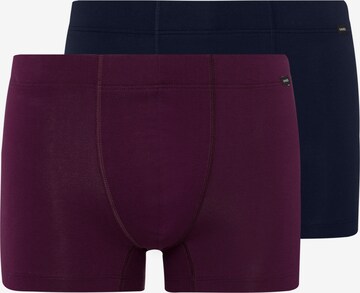 Hanro Boxer shorts in Mixed colors: front