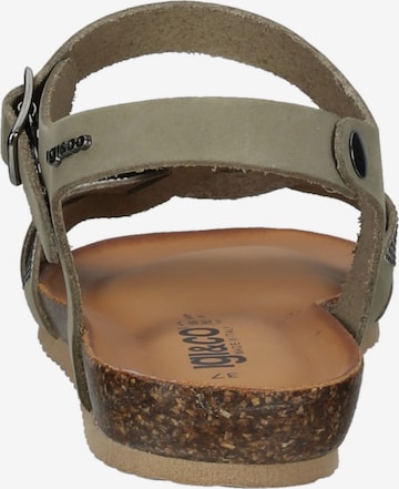 IGI&CO Sandalen met riem in Groen